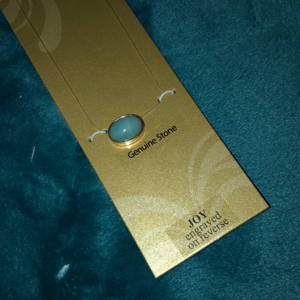 NWT Joy invisible necklace